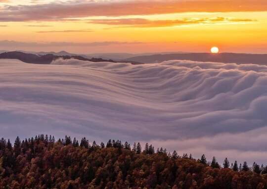 Domaine AbracadaRoom : Les Logettes de Caroline - Image 64