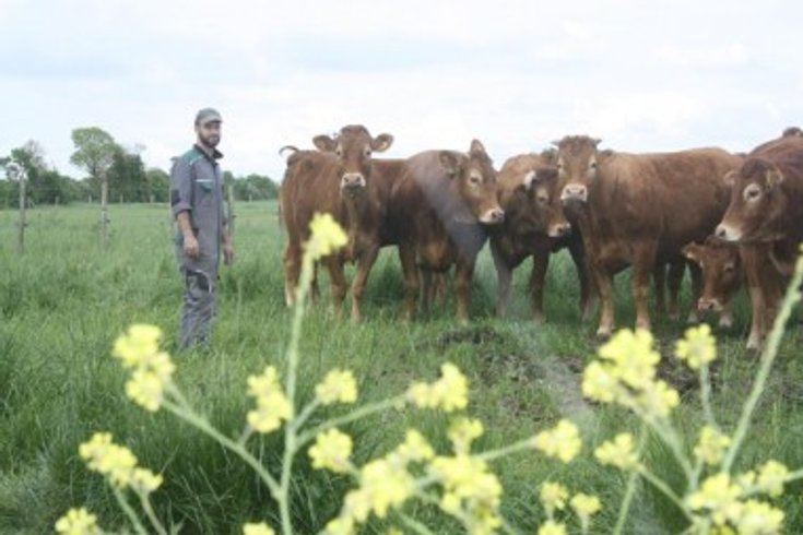 Domaine AbracadaRoom : Ferme des Coutures - Image 3