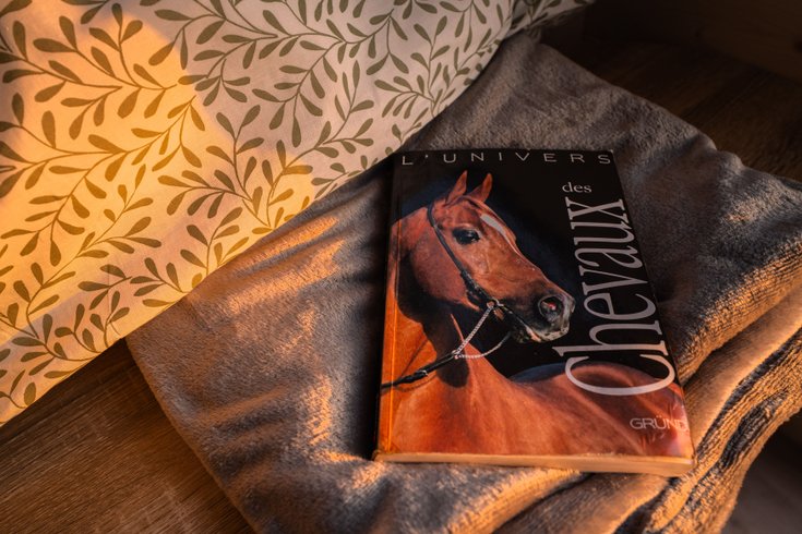 Hébergement AbracadaRoom : Homnest - Tiny house dans l'Allier - Cheval - Image 12