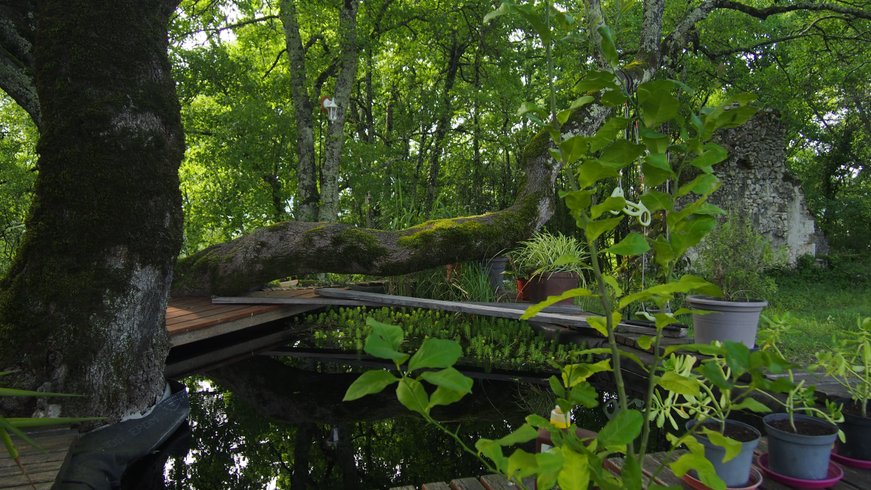 Domaine AbracadaRoom : Le pèlerin - Image 3