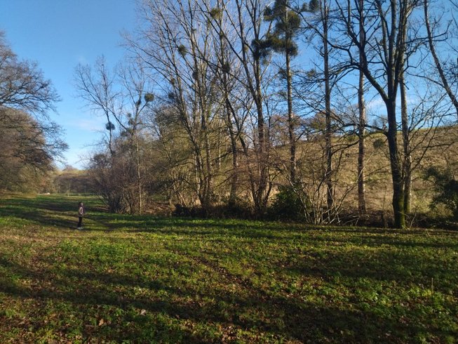 Hébergement AbracadaRoom : Bulle étoilée - Image 3