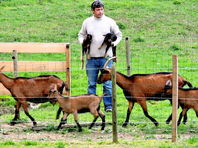 Domaine AbracadaRoom : La Cabane en Champagne - Image 4