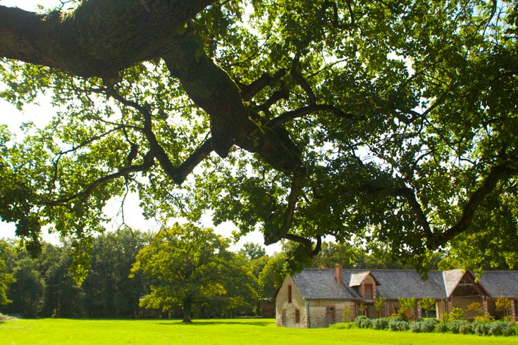 Domaine AbracadaRoom : Ecolodge de Loire - Image 1