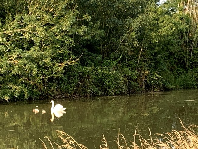 Domaine AbracadaRoom : Roulotte de charme - Marais Poitevin - Image 13