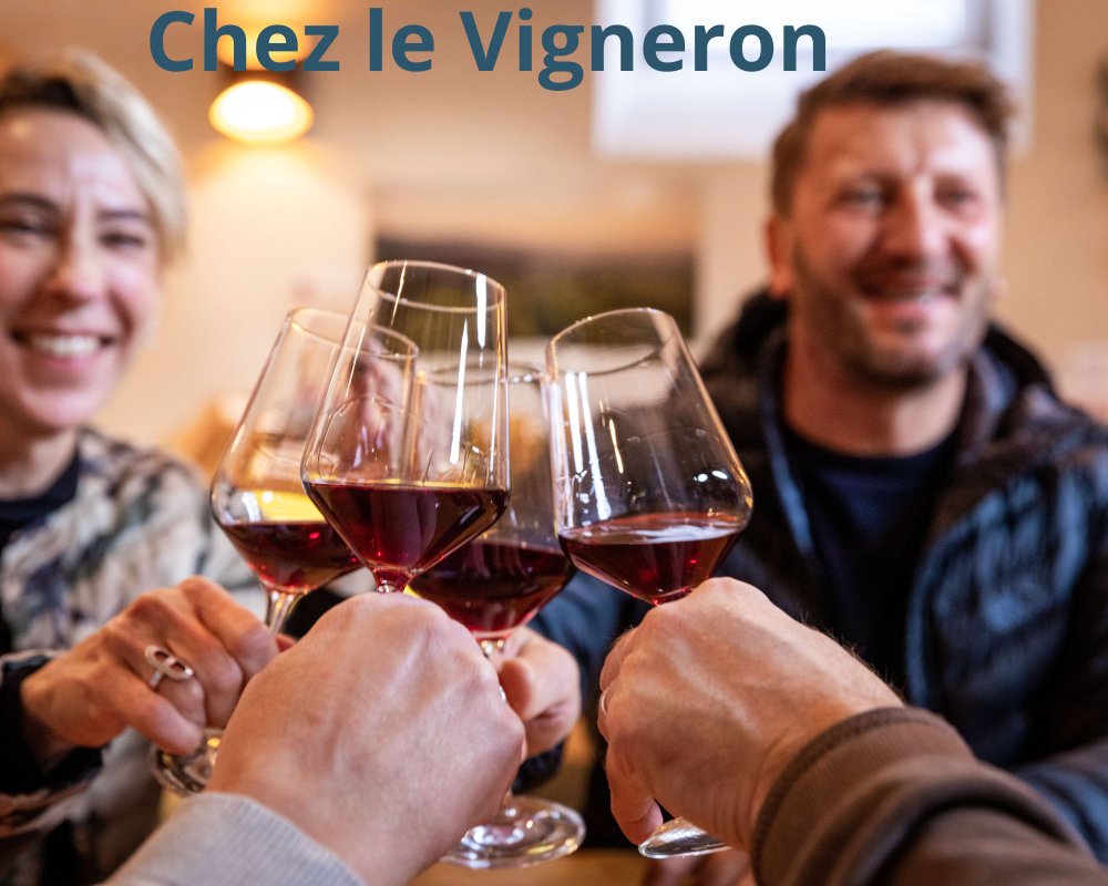 Tonneau Prestige et découverte viticole à Jonquières (17)