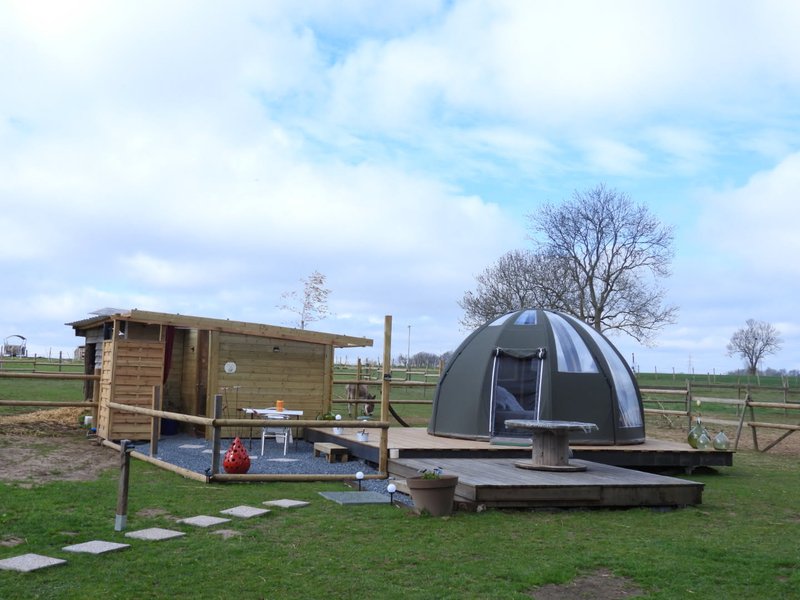 Domaine AbracadaRoom : Les alpagas du clos - Image 16