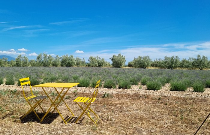 La bulle Ico : Dôme en Provence-Alpes-Côte d'Azur